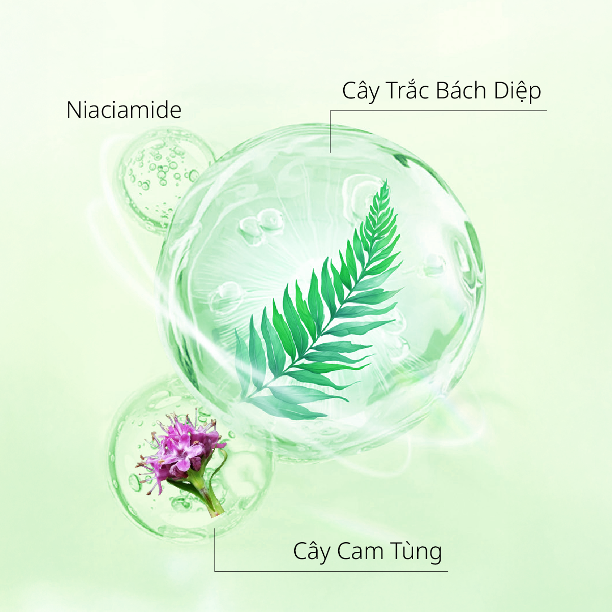 Dầu Xả Hỗ Trợ Ngăn Ngừa Gãy Rụng & Kiểm Soát Dầu CHANDO Himalaya 600g Hàng Chính Hãng