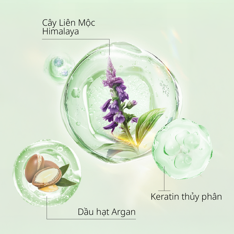 Dầu Xả Cấp Ẩm Làm Phồng Tóc CHANDO Himalaya Giúp Nuôi Dưỡng Tóc Chắc Khoẻ 600g Hàng Chính Hãng