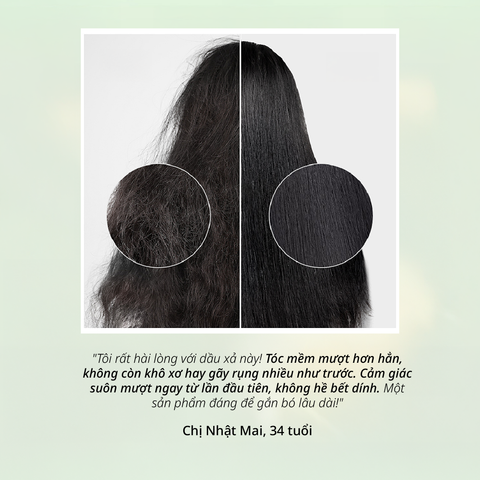 Dầu Xả Hỗ Trợ Ngăn Ngừa Gãy Rụng & Kiểm Soát Dầu CHANDO Himalaya 600g Hàng Chính Hãng