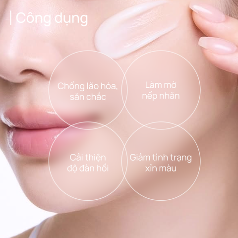 Kem Dưỡng Giảm Chảy Xệ, Săn Chắc Da, Mờ Rãnh Cười CHANDO Pink Diamond Firming Delicate Rose Cream 55g