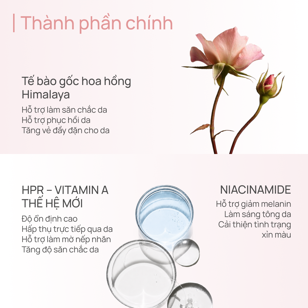 Kem Dưỡng Giảm Chảy Xệ, Săn Chắc Da, Mờ Rãnh Cười CHANDO Pink Diamond Firming Delicate Rose Cream 55g