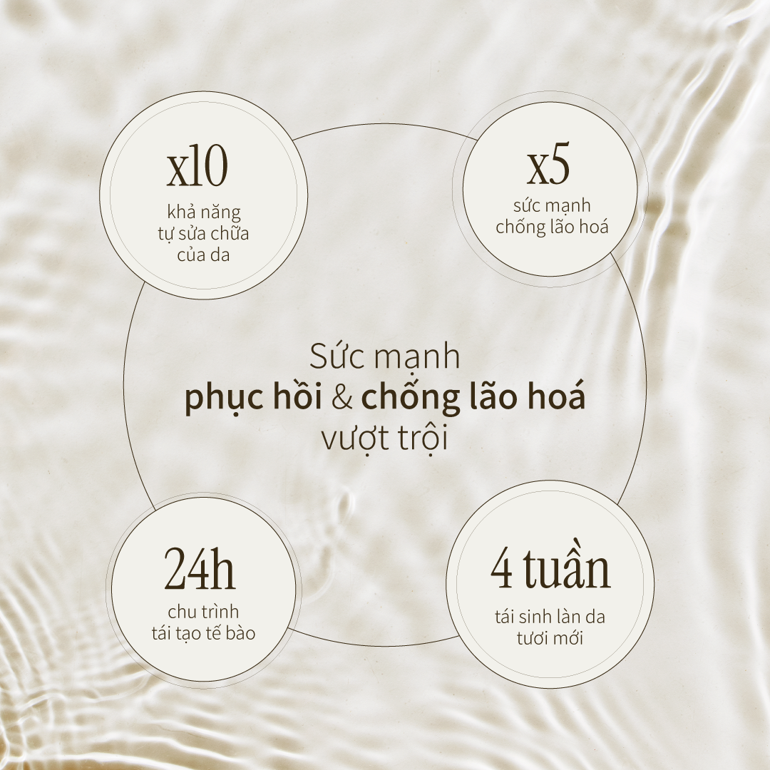 Nước Thần Men Tuyết Sơn CHANDO Himalaya 110ml Giúp Phục Hồi Da Lão Hóa Hàng Chính Hãng