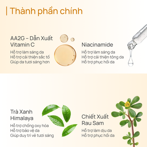 Kem Chống Nắng Có Màu Dưỡng Sáng Da CHANDO Tinted Whitening Vitamin C Sunscreen SPF50+ PA+++