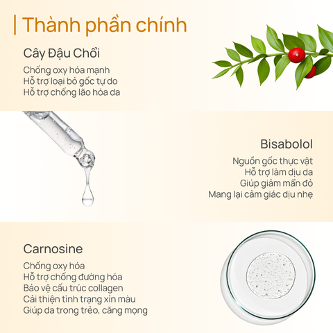 Kem Chống Nắng Làm Sáng, Săn Chắc Da, Làm Mờ Lỗ Chân Lông CHANDO Firming Illuminating Sunscreen Primer SPF50+ PA++++