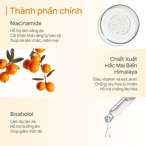 Kem Chống Nắng Dưỡng Ẩm CHANDO Fresh Moist Sunscreen Emulsion 40ml