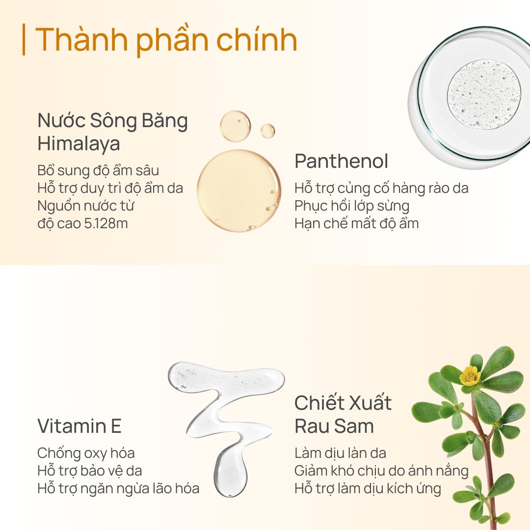 Kem Chống Nắng Làm Dịu Da Cấp Ẩm CHANDO Mild Soothing Sun Fluid 50ml