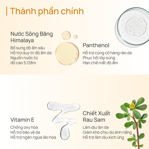 Kem Chống Nắng Làm Dịu Da Cấp Ẩm CHANDO Mild Soothing Sun Fluid 50ml