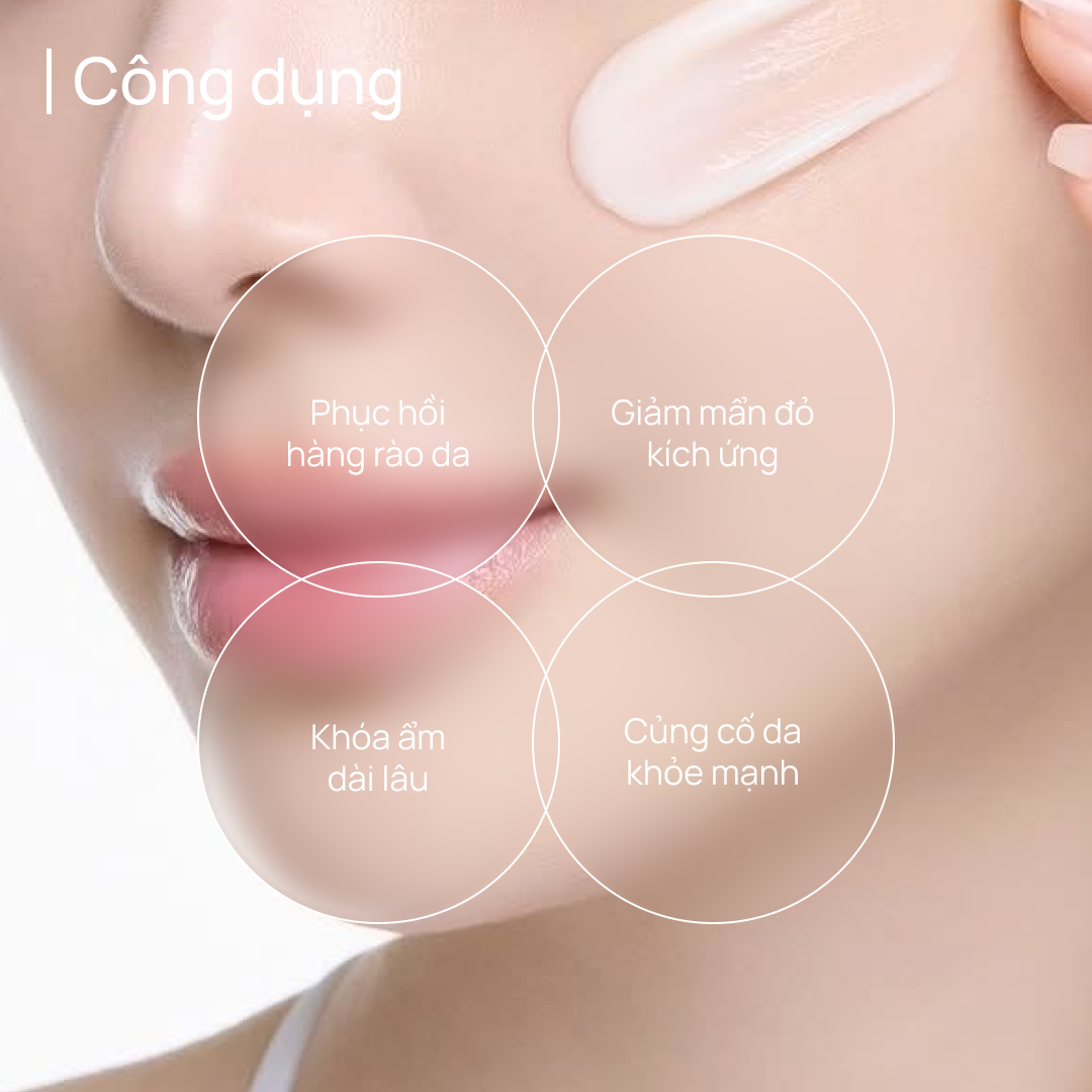 Kem Dưỡng Ẩm, Làm Dịu, Phục Hồi Da CHANDO Soothing Moisturizing 55g