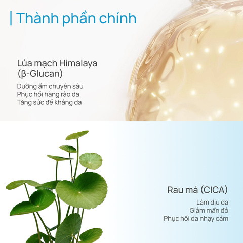 Kem Dưỡng Ẩm, Làm Dịu, Phục Hồi Da CHANDO Soothing Moisturizing 55g