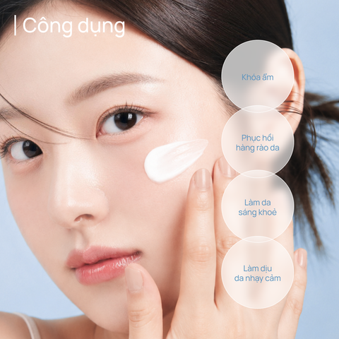 Kem Dưỡng Ẩm & Phục Hồi CHANDO Snowy Region Cream 50g