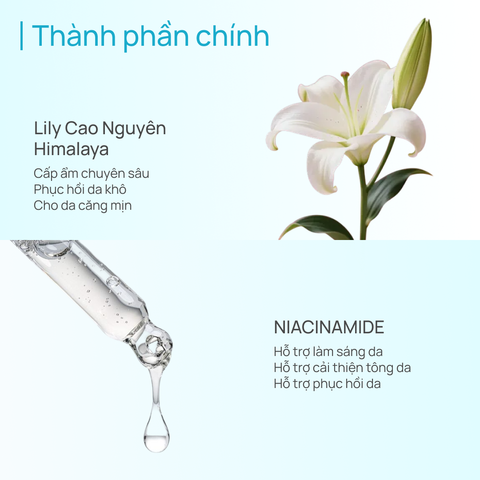 Kem Dưỡng Nâng Tone Hỗ Trợ Dưỡng Sáng Da SPF20/PA++ CHANDO Himalaya 50G