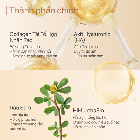 Toner Tăng Sinh Collagen, Phục Hồi Tổn Thương và Chống Lão Hoá CHANDO Extra Collagen 200ml