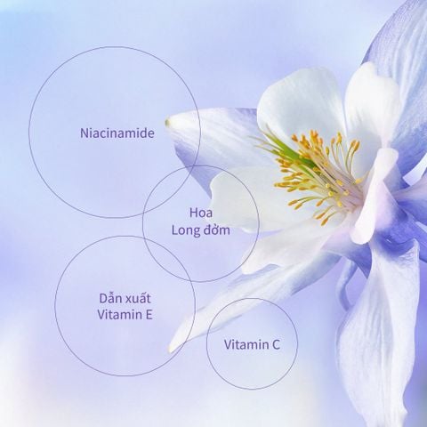 Sữa Dưỡng Thể Hỗ Trợ Dưỡng Trắng Dưỡng Ẩm 600g CHANDO Himalaya Hàng Chính Hãng