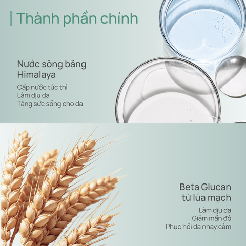 Mặt Nạ Pro-Vitamin B5 Dịu Da CHANDO Panthenol Soothing Mask 5 MIẾNG