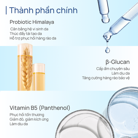 Mặt Nạ Lợi Khuẩn Phục Hồi CHANDO Moisturizing Repair Mask 5 MIẾNG
