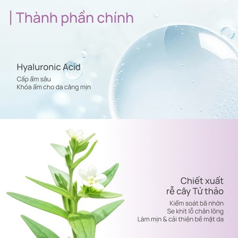 Mặt Nạ Thảo Dược Thu Nhỏ Lỗ Chân Lông CHANDO Comfrey Pore-tightening Mask 5 MIẾNG