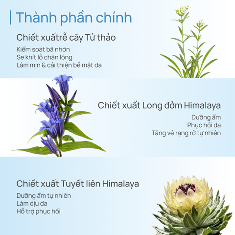 Combo 02 Mặt Nạ Thảo Dược Dưỡng Ẩm, Sáng Da, Thu Nhỏ Lỗ Chân Lông CHANDO (10 MIẾNG)