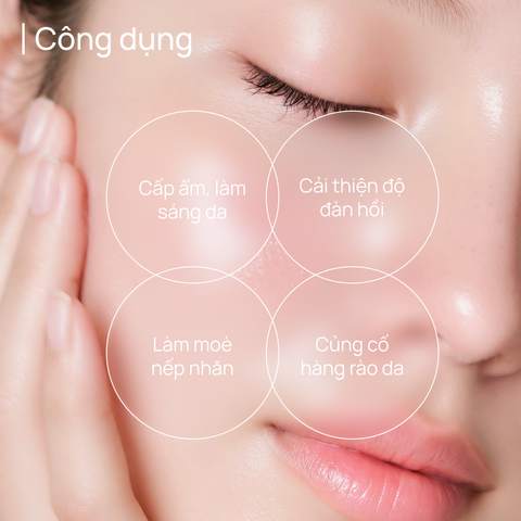 Toner Hỗ Trợ Cải Thiện Độ Đàn Hồi Cho Da Kém Săn Chắc CHANDO Himalaya 110ml Hàng Chính Hãng