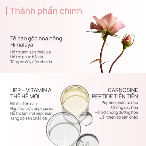 Toner Hỗ Trợ Cải Thiện Độ Đàn Hồi Cho Da Kém Săn Chắc CHANDO Himalaya 110ml Hàng Chính Hãng