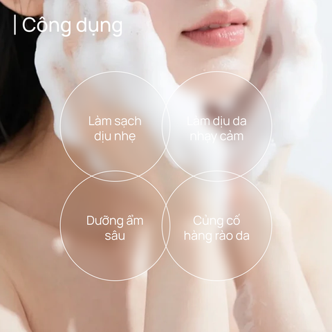 Sữa Rửa Mặt Làm Dịu & Cấp Ẩm CHANDO Soothing Moisturizing Amino Acid 150ml