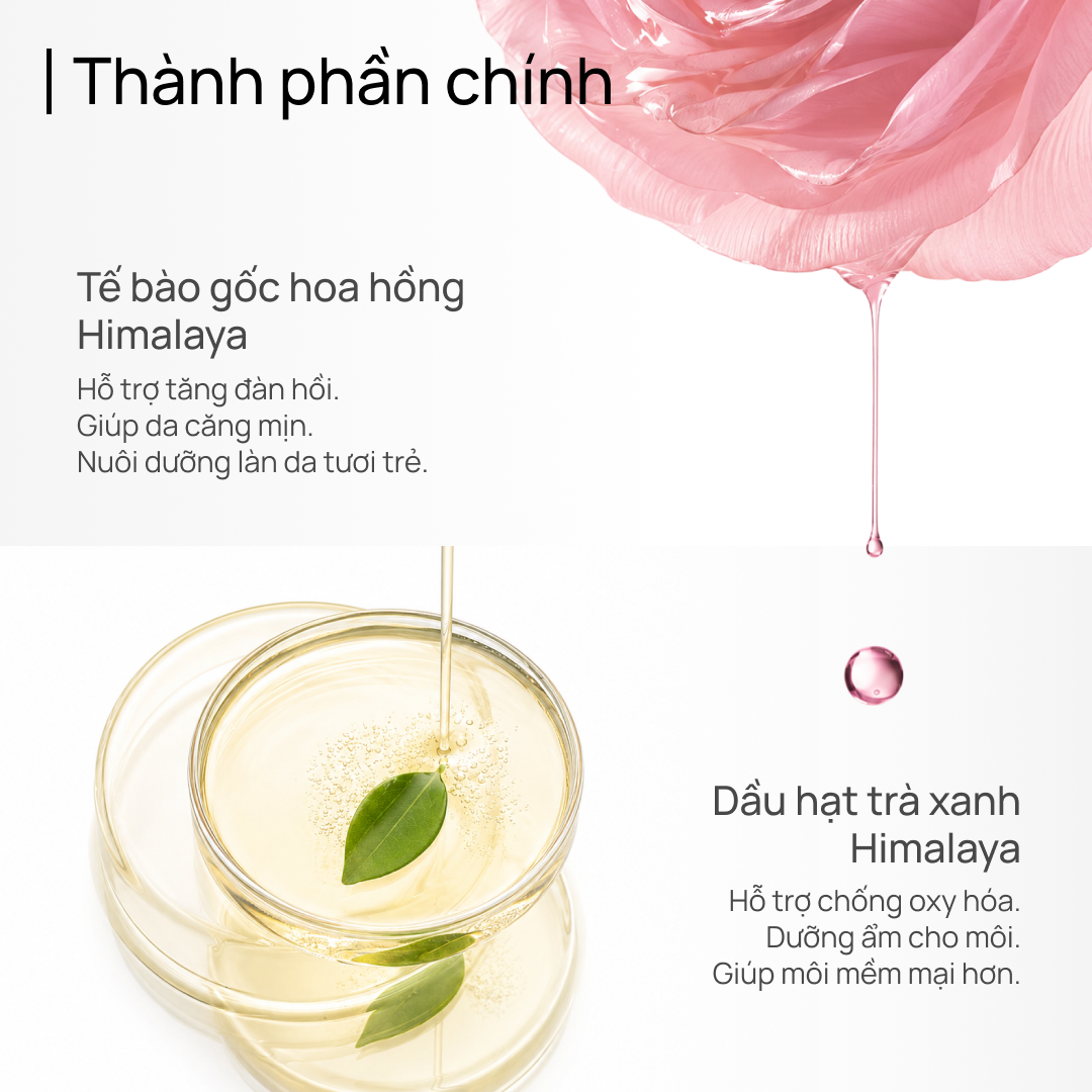 Son Kem CHANDO Himalaya Lì Mịn Như Nhung 2.4mL x 1pcs Hàng Chính Hãng