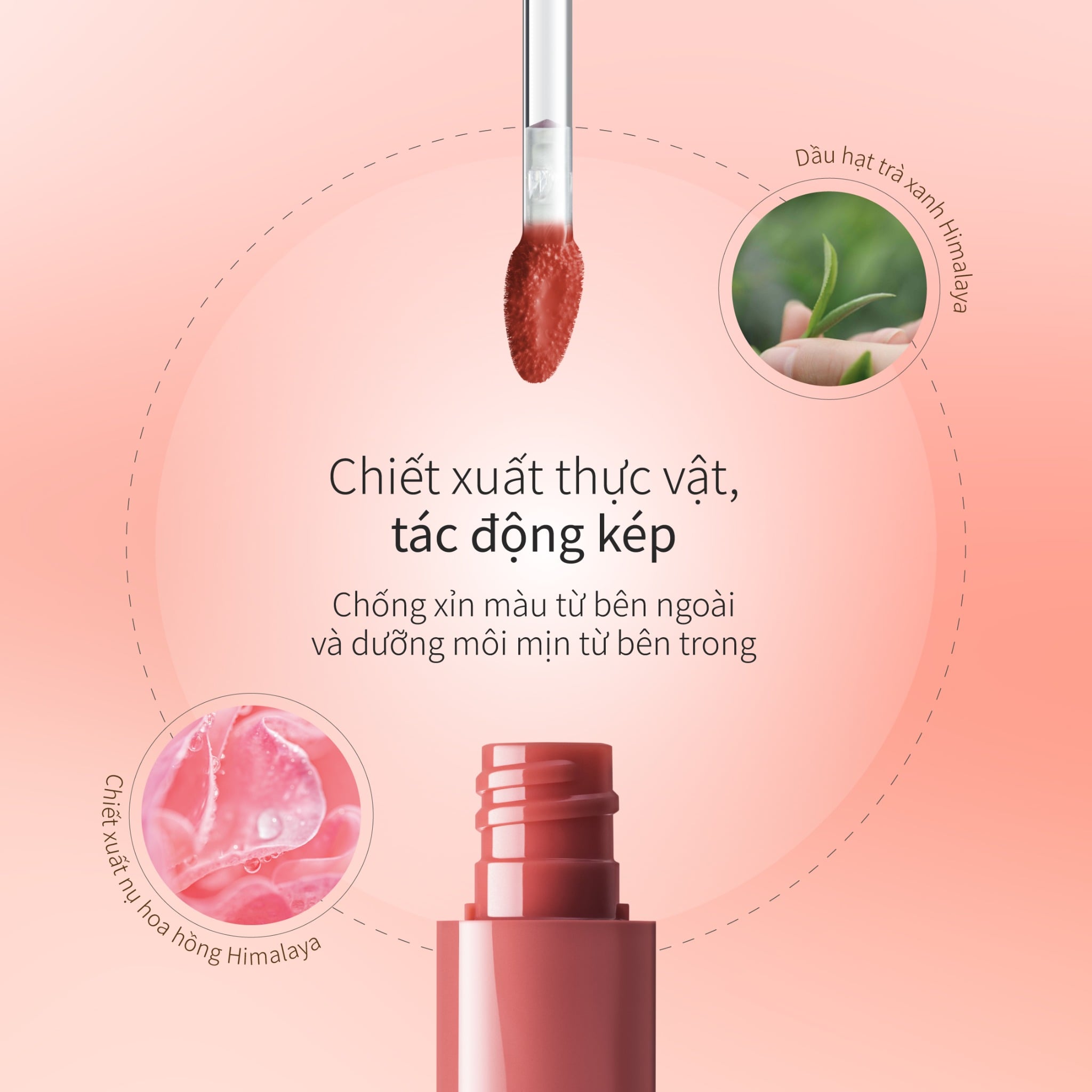 Son Kem Lì Mịn Như Nhung P01 Đào CHANDO Himalaya 2.4ml Hàng Chính Hãng