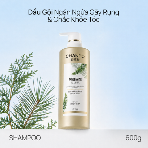 Dầu gội thảo mộc hỗ trợ ngừa rụng tóc 600g Chando Himalaya