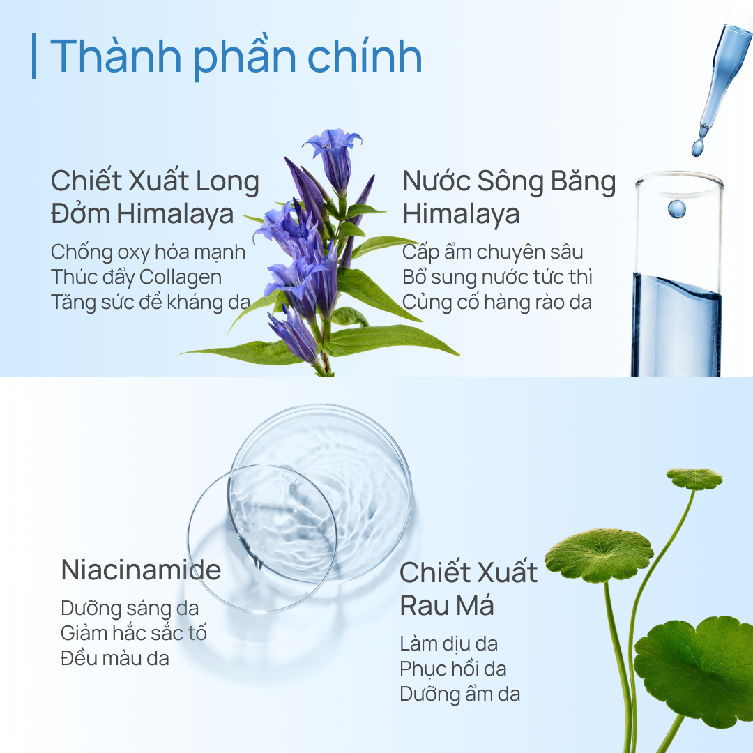 Tinh Chất Dưỡng Ẩm & Phục Hồi CHANDO Snowy Region Essence 40ml