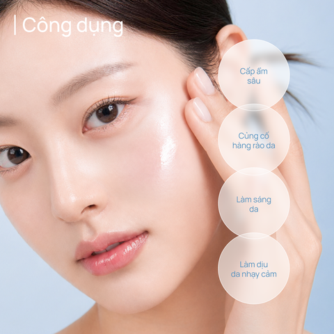 Toner Dưỡng Ẩm & Phục Hồi CHANDO Snowy Region 160ml