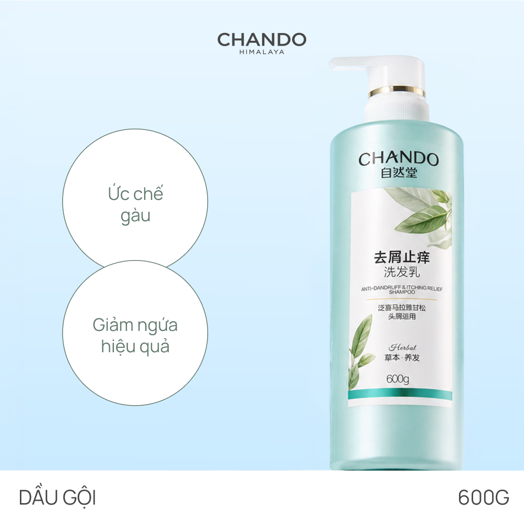 Dầu Gội Giảm Gàu & Giảm Ngứa Da Đầu CHANDO Anti-Dandruff & Itching Relief Shampoo 600ml