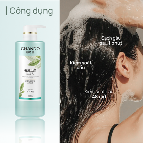 Dầu Gội Giảm Gàu & Giảm Ngứa Da Đầu CHANDO Anti-Dandruff & Itching Relief Shampoo 600ml
