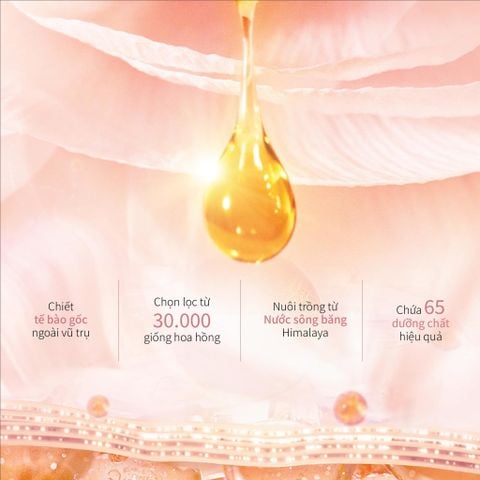 Bộ 4 Sản phẩm Làm sạch & Giúp Phục Hồi Lão Hóa Do Trọng Lực Pink Diamond