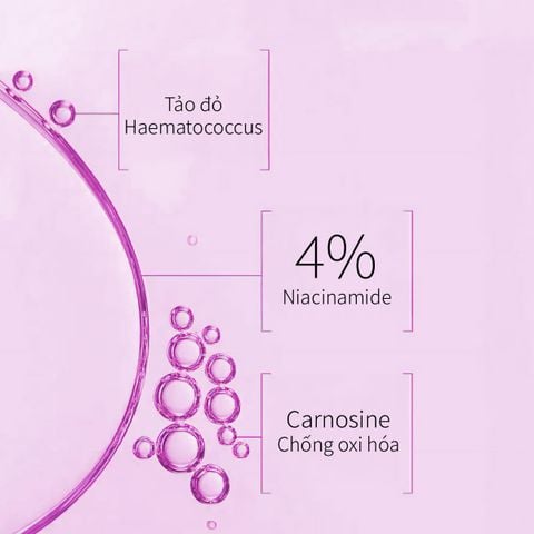 Tinh Chất Giúp Phục Hồi Da Lão Hoá Ngưng Đọng Thời Gian CHANDO Himalaya 40ml Chứa Niacinamide Hàng Chính Hãng