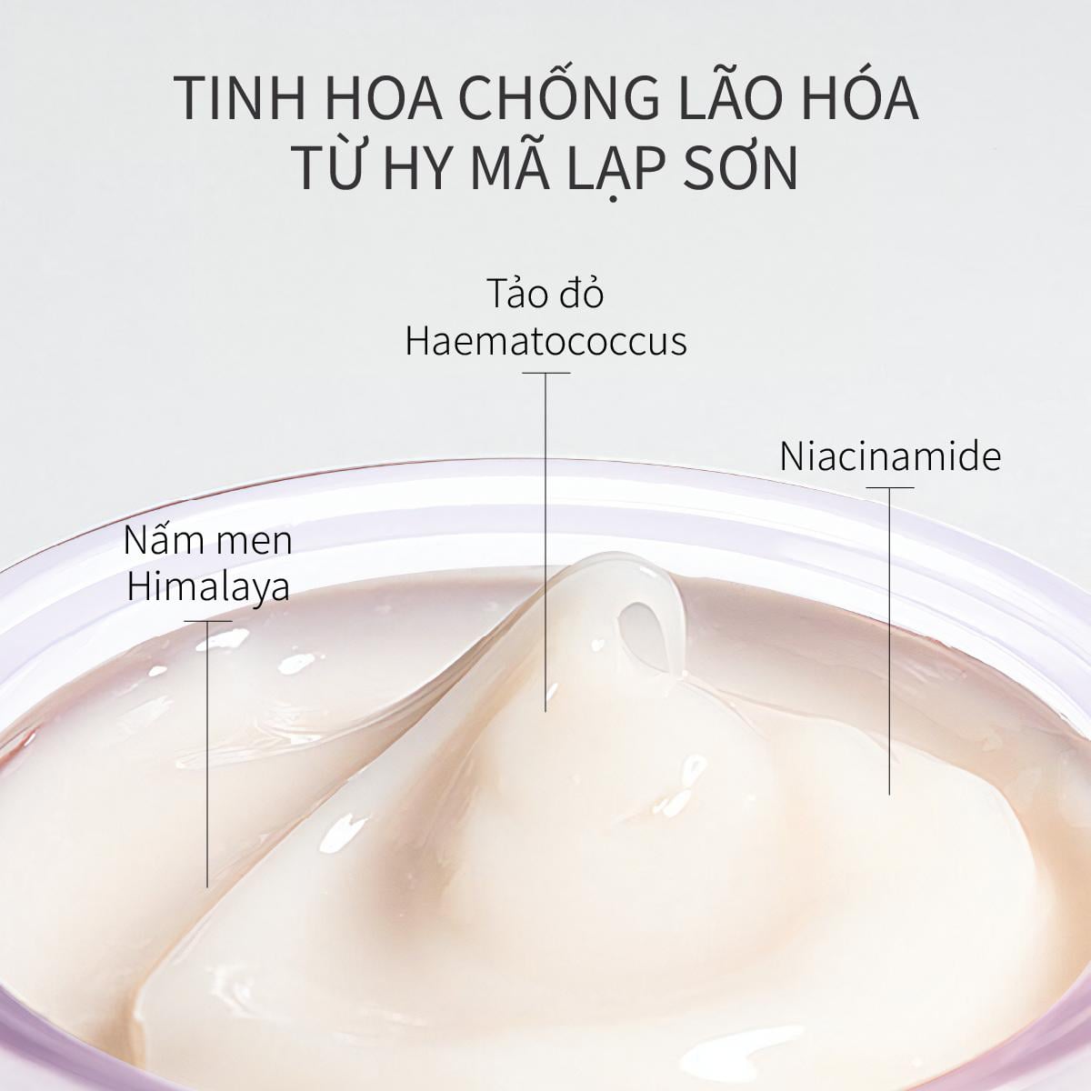 Bộ đôi tinh chất và kem dưỡng phục hồi da lão hóa toàn năng CHANDO Himalaya