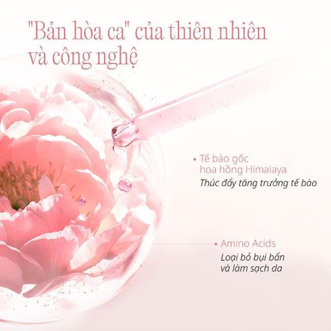 Gel Rửa Mặt Làm Sạch Sâu Và Hỗ Trợ Cải Thiện Độ Đàn Hồi Cho Da Kém Săn Chắc CHANDO Himalaya 150g Chính Hãng