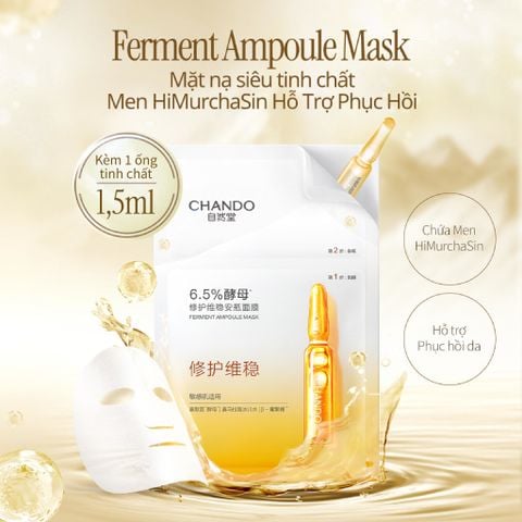 Mặt Nạ Siêu Tinh Chất 2 Bước 33ml x 5pcs (Kèm ống tinh chất 1.5ml)
