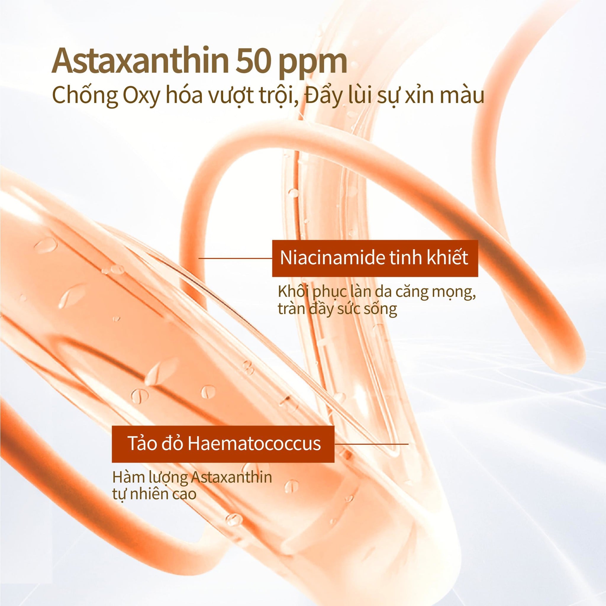 Mặt Nạ Siêu Tinh Chất 2 Bước 33ml x 5pcs (Kèm ống tinh chất 1.5ml)