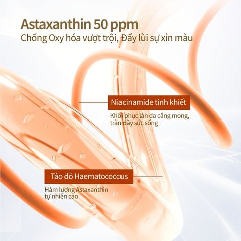 Mặt Nạ Siêu Tinh Chất 2 Bước 33ml x 5pcs (Kèm ống tinh chất 1.5ml)