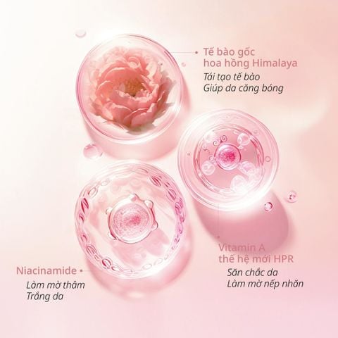 Bộ 4 Sản phẩm Làm sạch & Giúp Phục Hồi Lão Hóa Do Trọng Lực Pink Diamond