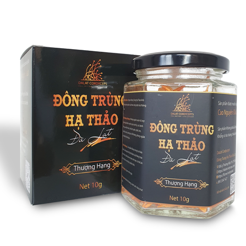  Nấm đông trùng hạ thảo khô sấy thăng hoa (Loại 10gr) 