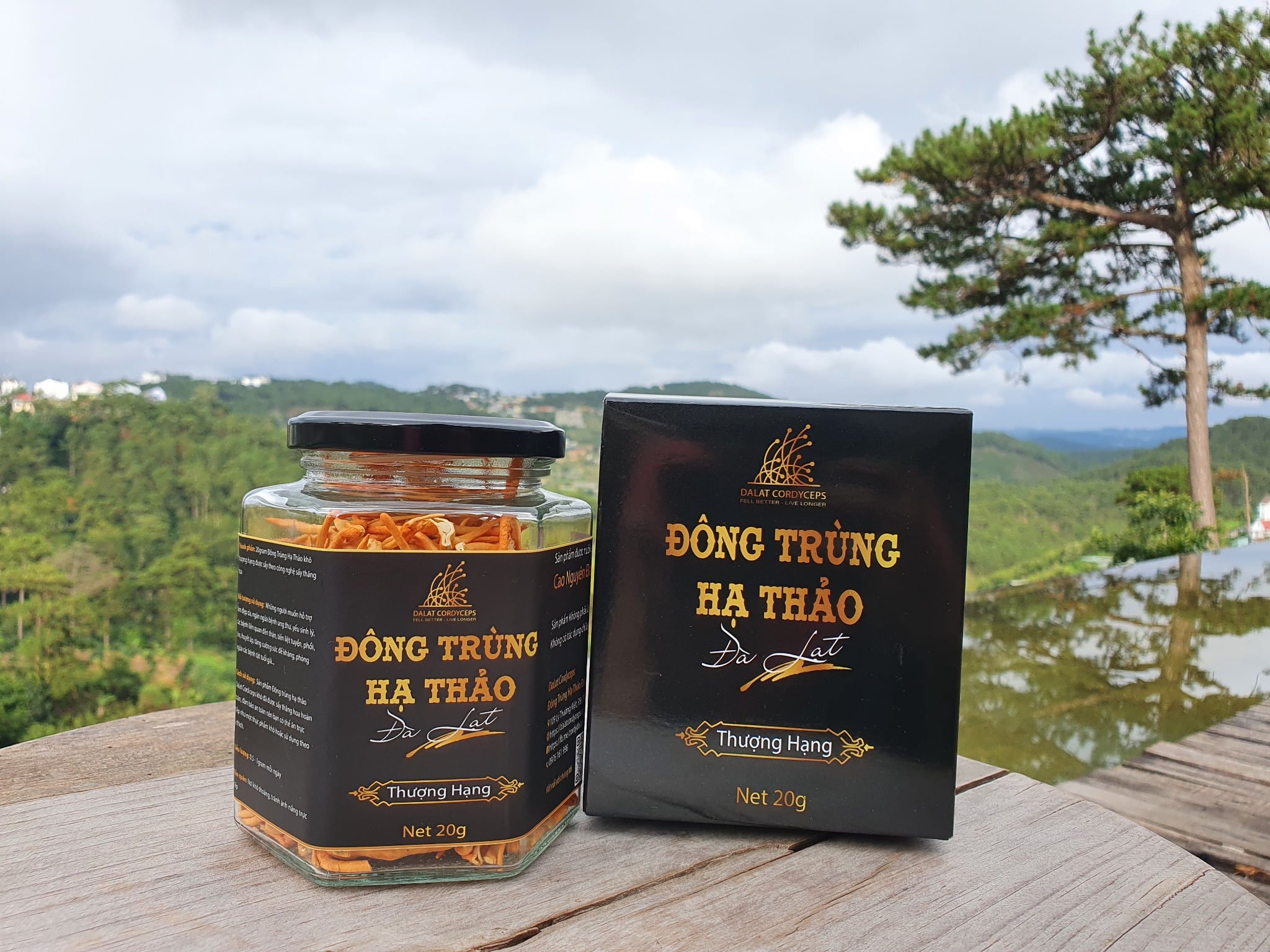 Nấm Đông Trùng Hạ Thảo Đà Lạt Khô Sấy Thăng Hoa - Loại 20gr