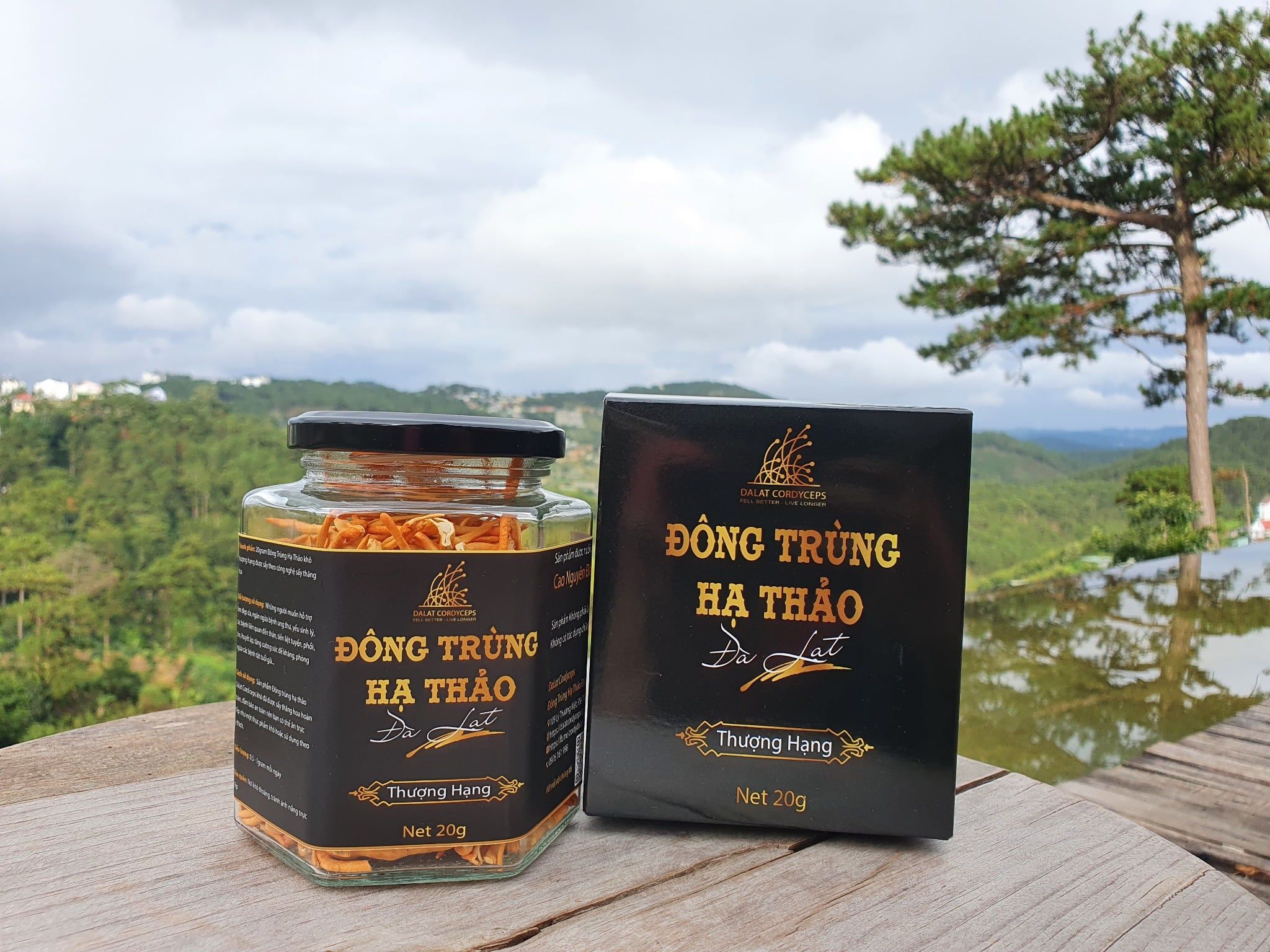  Nấm Đông Trùng Hạ Thảo Đà Lạt Khô Sấy Thăng Hoa - Loại 20gr 