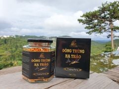 Nấm Đông Trùng Hạ Thảo Đà Lạt Khô Sấy Thăng Hoa - Loại 20gr