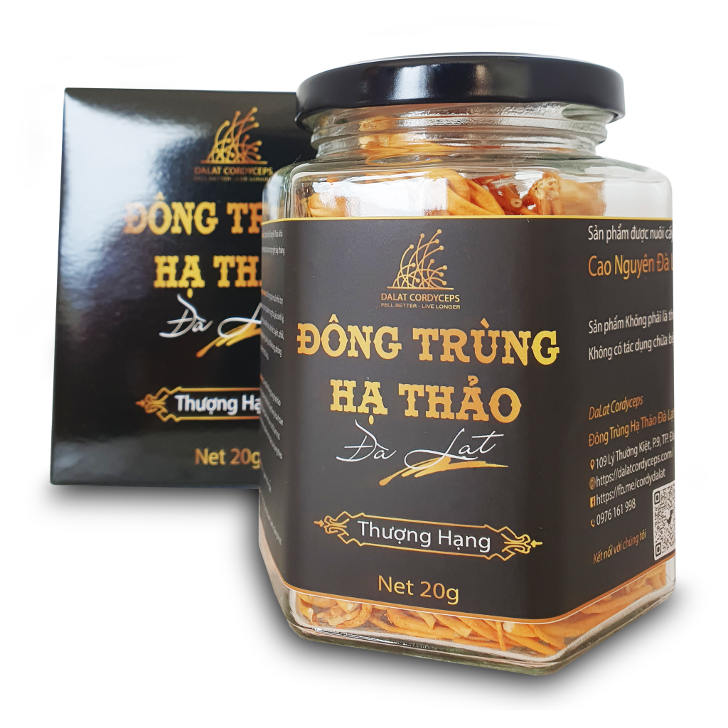 Nấm Đông Trùng Hạ Thảo Đà Lạt Khô Sấy Thăng Hoa - Loại 20gr