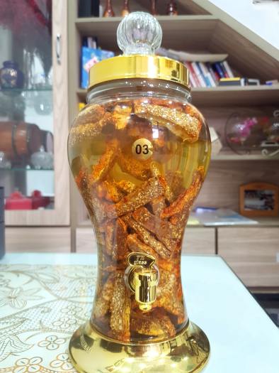 Đế Đông trùng hạ thảo sấy thăng hoa