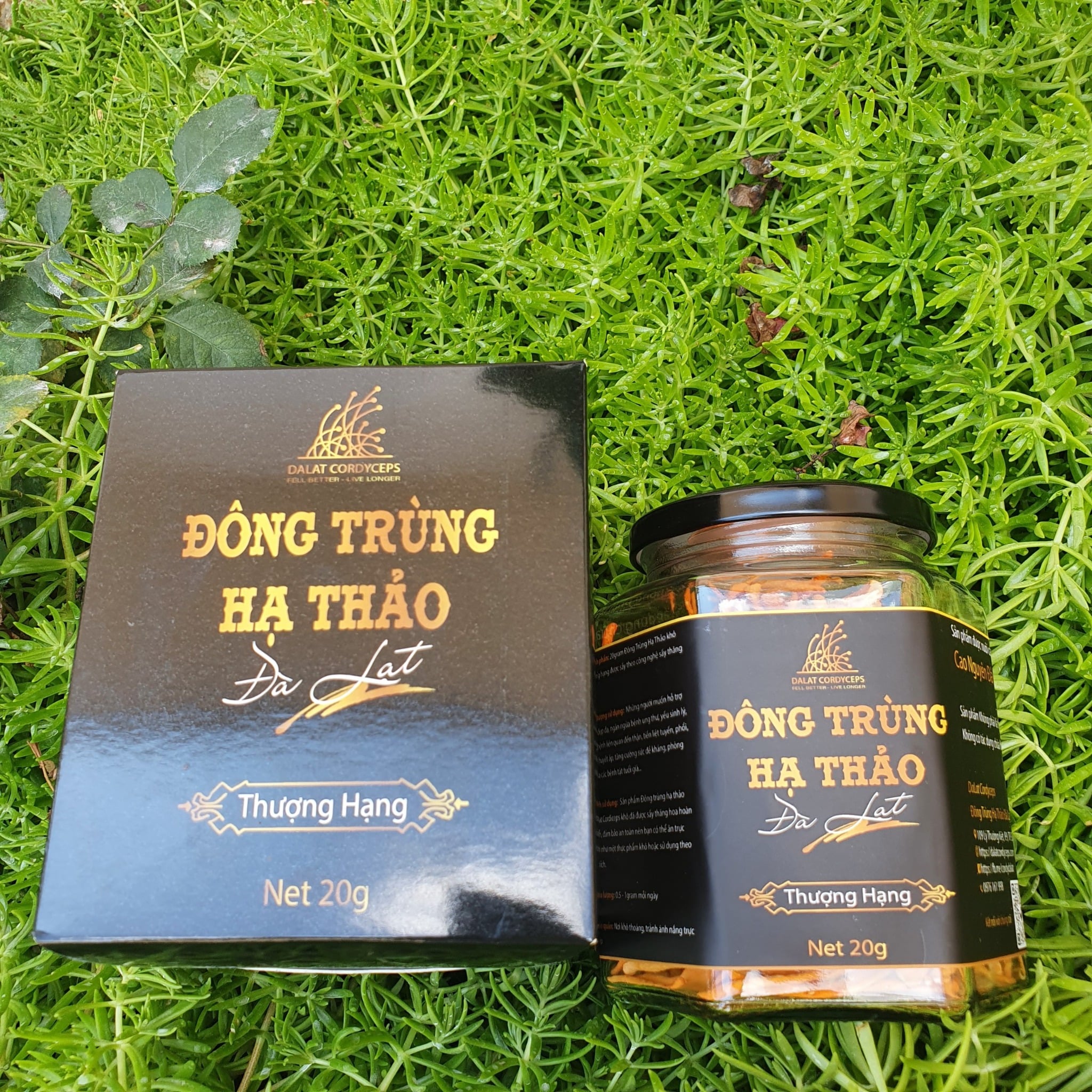 Nấm Đông Trùng Hạ Thảo Đà Lạt Khô Sấy Thăng Hoa - Loại 20gr