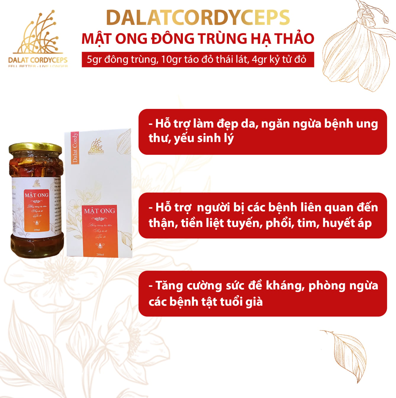 Mật ong ngâm đông trùng hạ thảo, kỷ tử đỏ, táo đỏ - Hộp cao cấp