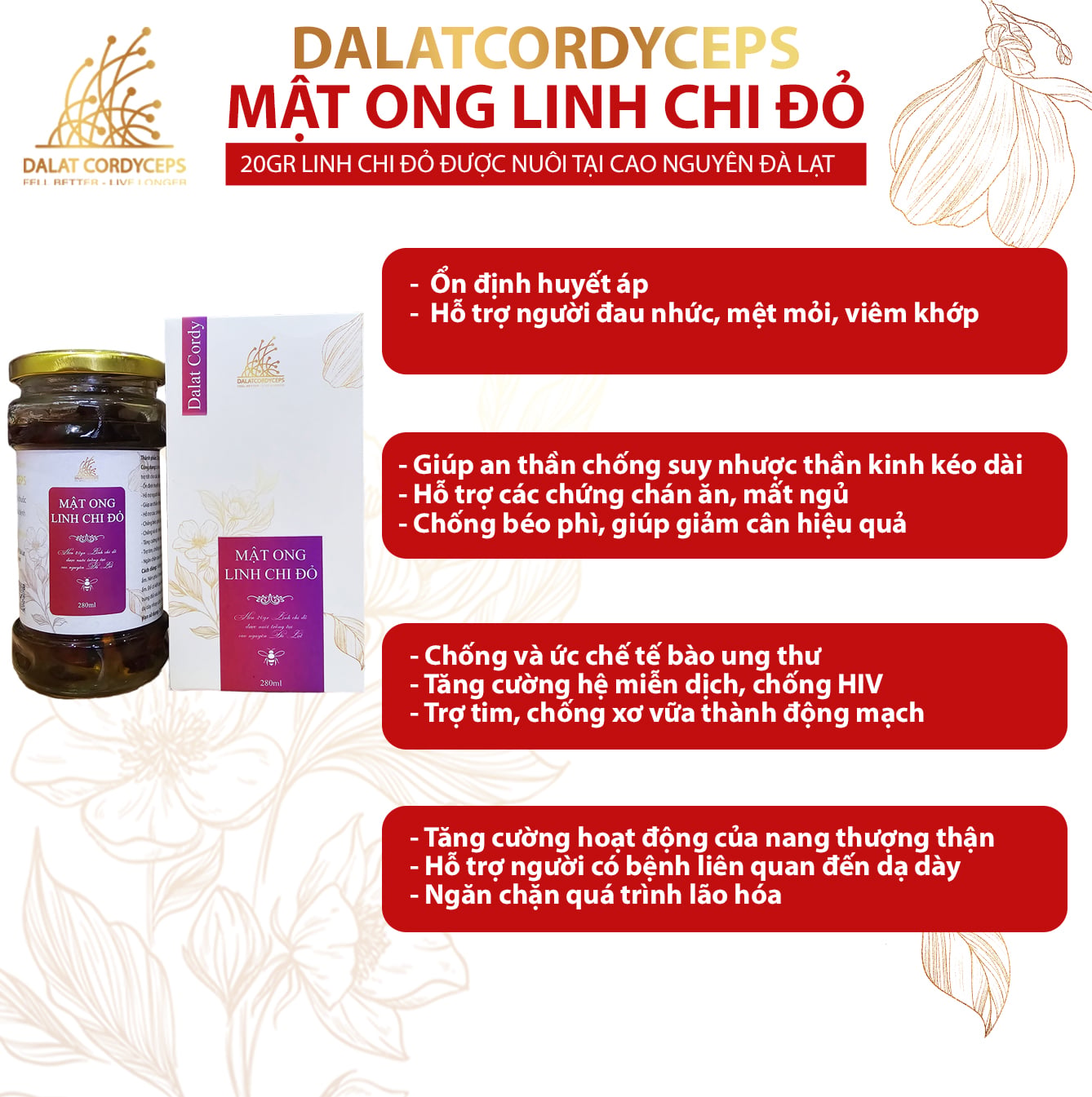Mật ong ngâm linh chi đỏ Đà Lạt - Hộp cao cấp