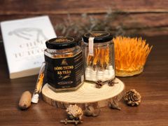 Nấm đông trùng hạ thảo khô sấy thăng hoa - Nhộng Ký Chủ