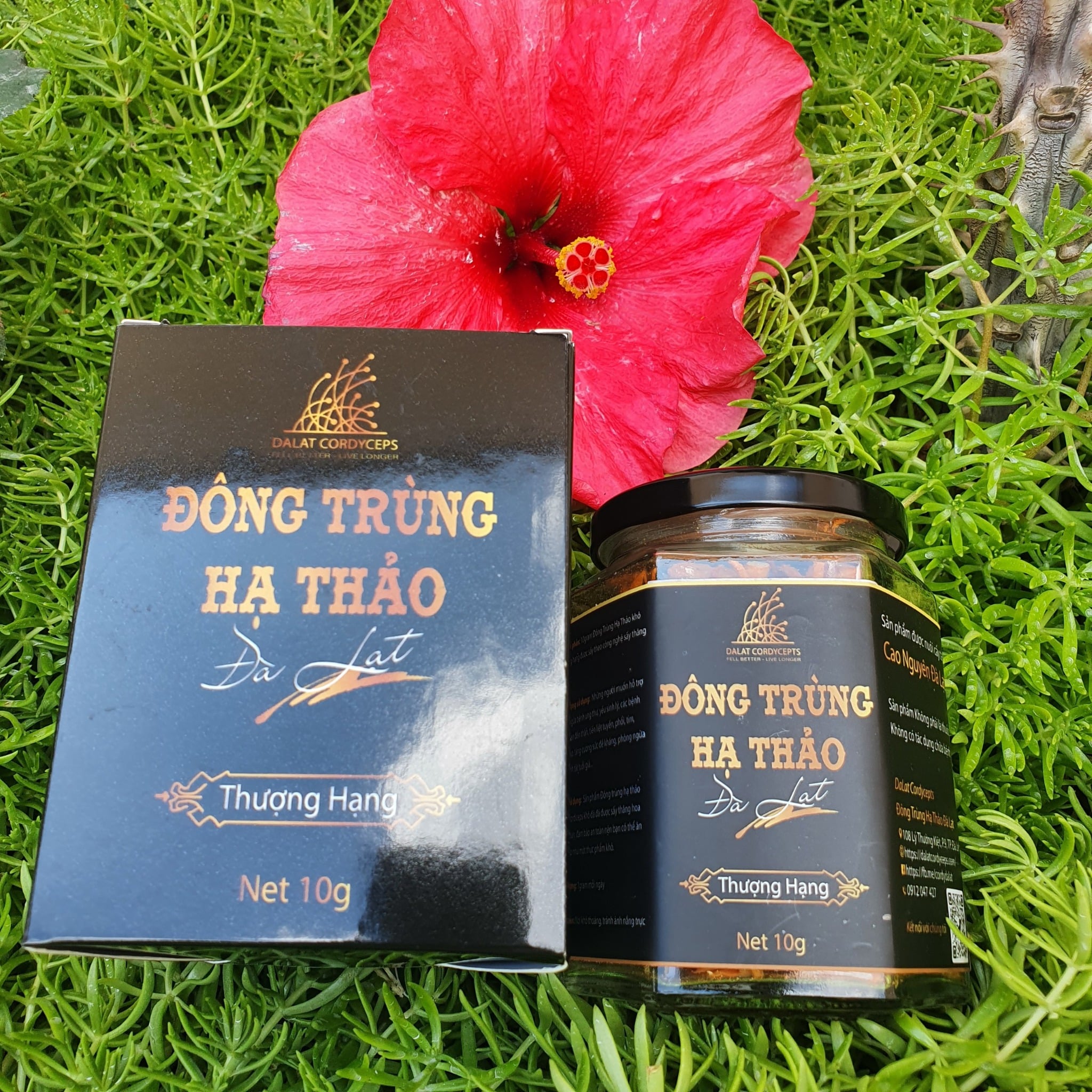 Nấm đông trùng hạ thảo khô sấy thăng hoa (Loại 10gr)